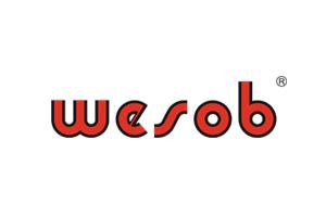 logo-wesob